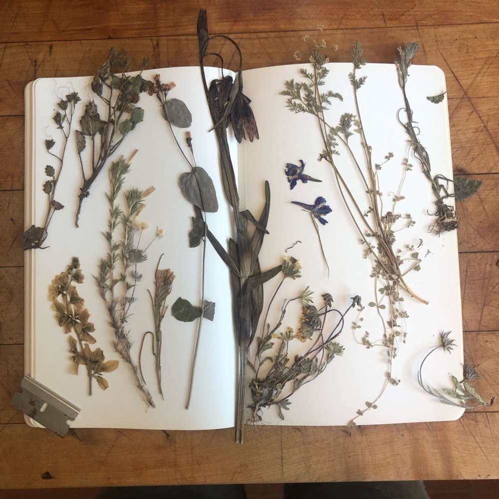 Meet your Posher, Leanne